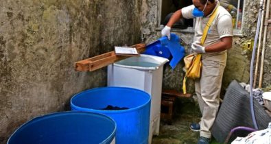 Levantamento registra que São Luís teve queda no número de casos de dengue