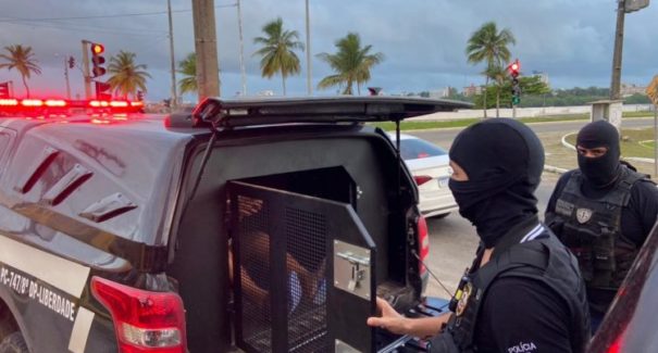 Operação da Polícia Civil prende cinco pessoas por crimes sexuais contra menores na Grande Ilha