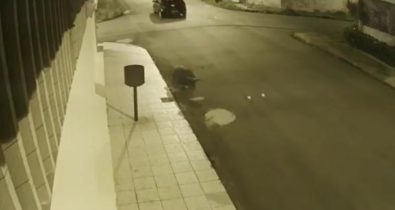 Vídeo: Coronel da PM é arrastada durante roubo de veículo
