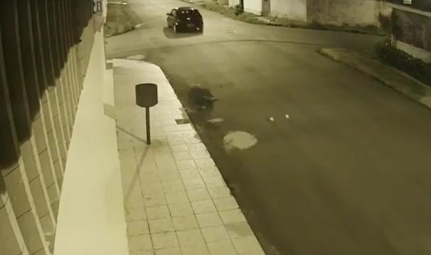 Vídeo: Coronel da PM é arrastada durante roubo de veículo