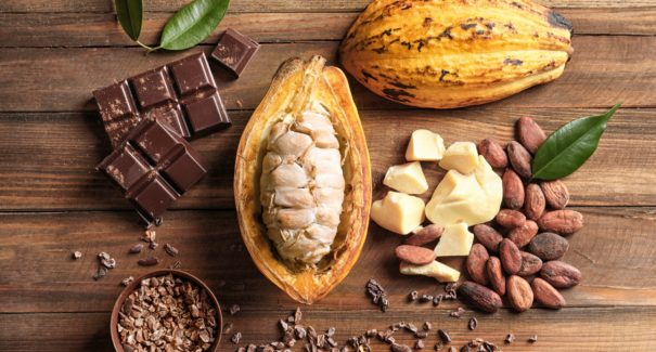 Dia do Cacau: veja 3 receitas simples para fazer em casa