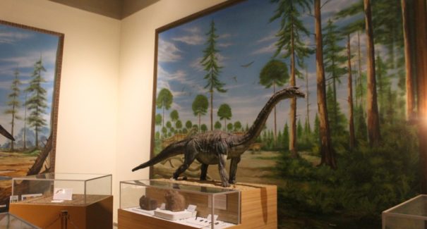 Novo dinossauro  maranhense é estudado