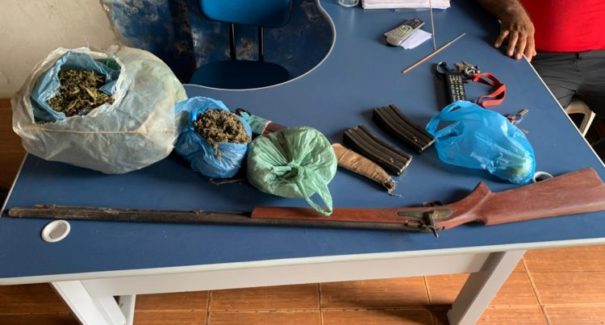 Plantação de maconha é apreendida em Conceição do Lago Açu
