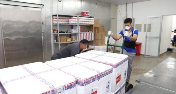 Lote com mais de 229 mil vacinas contra Covid-19 chega ao Maranhão