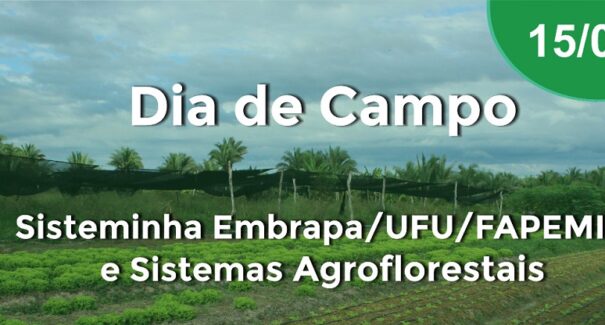 Sisteminha e Sistemas Agroflorestais são tema de dia de campo em Newton Bello
