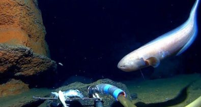 Conheça os pontos mais profundos do oceano