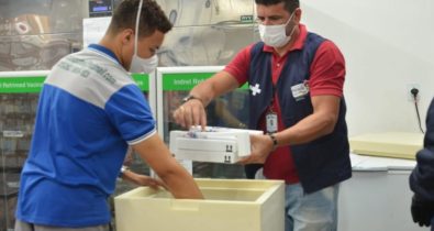 Maranhão recebe mais 17.550 doses da vacina contra Covid-19 da Pfizer