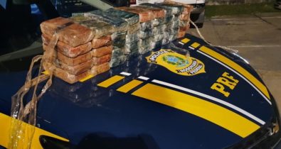 Polícia Rodoviária apreende 52 kg de cocaína na BR-316