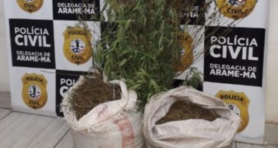 Polícia apreende cerca de 30 kg de maconha e prende cinco pessoas por tráfico de drogas