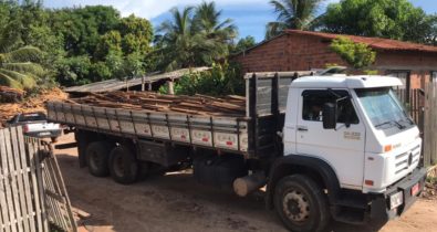 5 mil metros cúbicos de madeira ilegal são apreendidos em São José de Ribamar