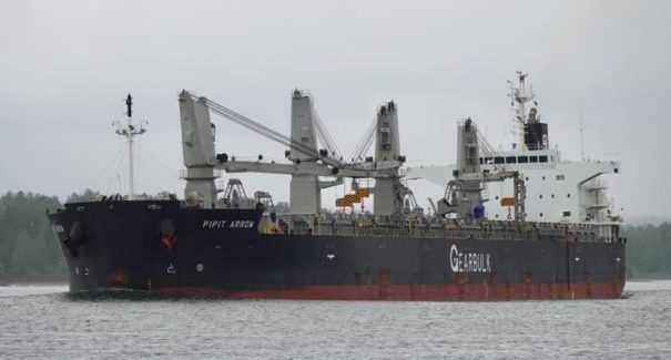 Navio é colocado em quarentena após tripulante testar positivo para a Covid-19 em São Luís