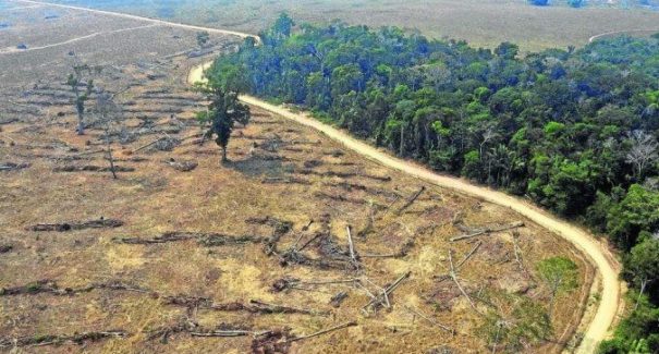 ONU aponta Brasil como responsável por 70% do desmatamento de florestas no mundo