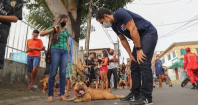 Cerca de 2 mil pets são atendidos pelo Mais Saúde Animal