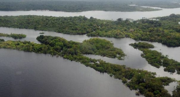 Unesco e Amazonas lançam plano de ação para Amazônia Central