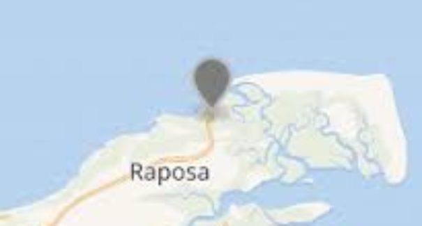Raposa sediará testes de satélite