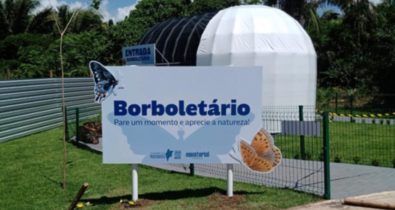 Parque do Rangedor ganha espaço com Borboletário