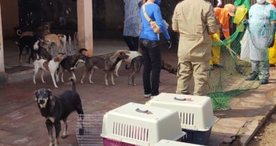 Cães são resgatados em residência em São Luís