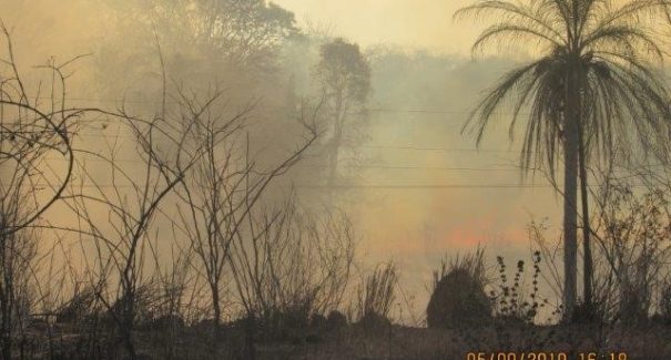 Cresce queimadas próximo à rede elétrica