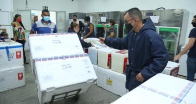 Maranhão recebe novo lote de vacinas Pfizer e CoronaVac com 111.340 doses