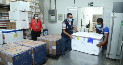 Maranhão recebe novos lotes das vacinas da Pfizer e Janssen