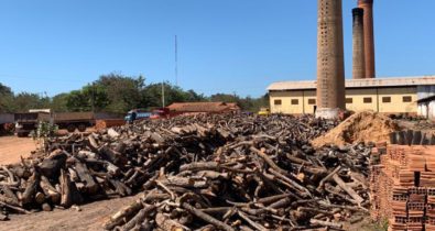 Policia Federal apreende madeira ilegal em ação no interior do Maranhão