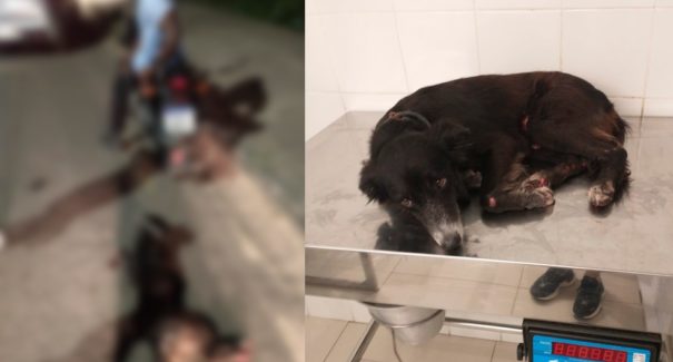 Preso homem após arrastar cachorro em moto