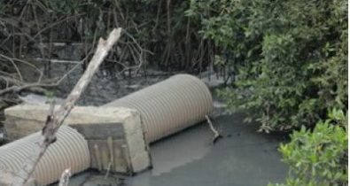 MPF apura lançamento de esgotos no rio Pimenta