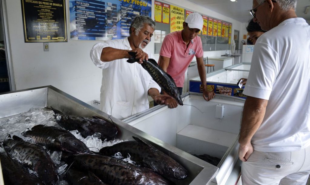 Operação fiscalizará balanças usadas na venda de peixes para evitar que  consumidor seja lesado | O Imparcial