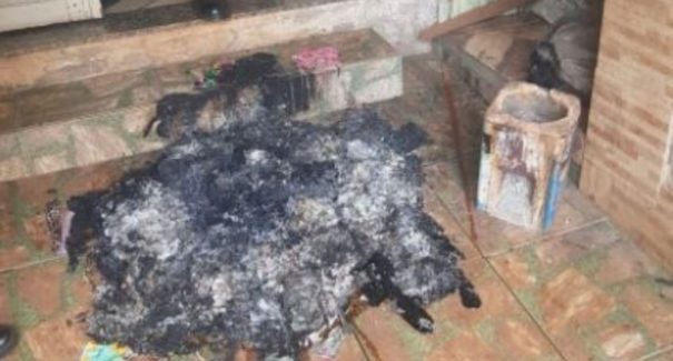 Suspeito de atear fogo em residência e tentar enforcar ex-mulher é preso