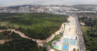 A importância do verde na cidade