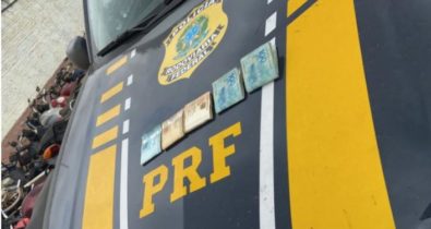 Caminhão roubado carregado com bezerros é recuperado em Grajaú