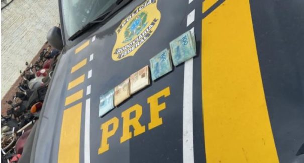Caminhão roubado carregado com bezerros é recuperado em Grajaú