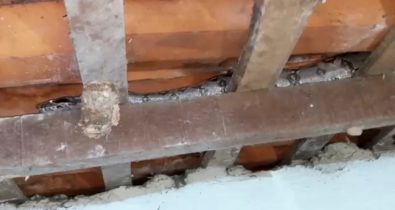 Susto: cobra aparece em telhado de residência em Santa Inês
