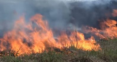 Pecuarista dá dicas de como prevenir e combater focos de incêndio em propriedades rurais