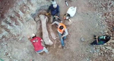 Dinossauro gigante achado no Maranhão