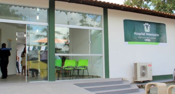 Hospital Veterinário da UEMA passa a funcionar aos sábados