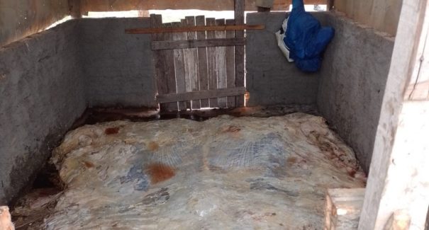 Abatedouros clandestinos são interditados no Maranhão