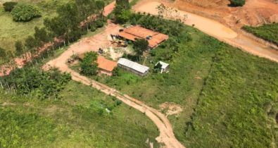 Polícia Federal erradica 85 mil pés de maconha no interior do Maranhão