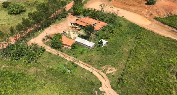 Polícia Federal erradica 85 mil pés de maconha no interior do Maranhão
