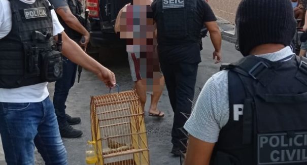 Presa por tráfico de drogas alega que entorpecentes seriam do neto de 16 anos