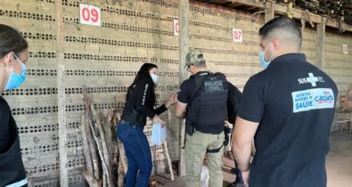 Polícia Civil incinera cerca de 15 kg de drogas em Coroatá