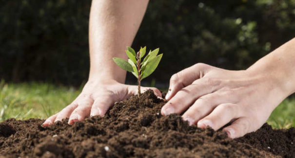Abertas as inscrições para curso do Programa Agente Jovem Ambiental