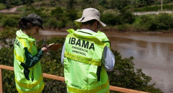 Ibama lança edital para 1.143 vagas temporárias