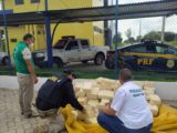 PRF apreende 350 kg de queijo transportados ilegalmente na BR-316