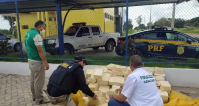 PRF apreende 350 kg de queijo transportados ilegalmente na BR-316