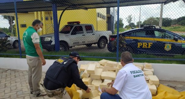 PRF apreende 350 kg de queijo transportados ilegalmente na BR-316