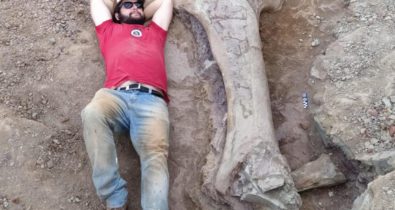 Paleontólogo ajuda na descoberta de dinossauro gigante no Maranhão