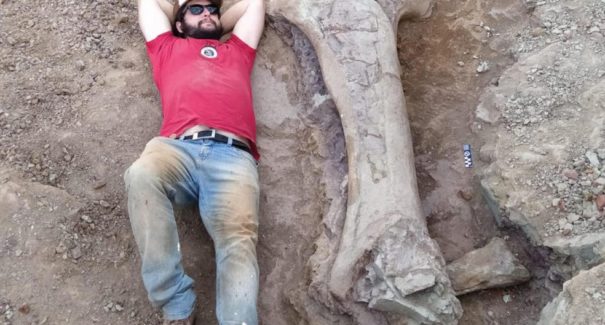 Paleontólogo ajuda na descoberta de dinossauro gigante no Maranhão