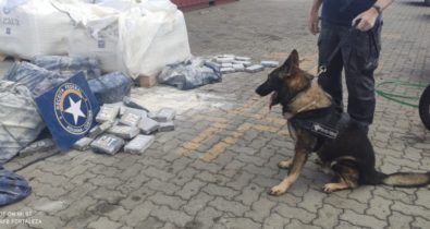 Carga de cocaína do Maranhão avaliada em R$ 250 milhões é apreendida no Ceará
