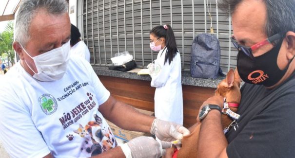 Vacinação antirrábica ocorre neste sábado em 64 bairros das áreas São Francisco e Bequimão